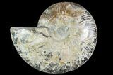 Bargain, Agatized Ammonite Fossil (Half) - Crystal Chambers #111552-1
